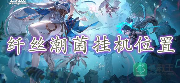 幻塔纤丝潮菌挂机位置-幻塔纤丝潮菌挂机位置在哪