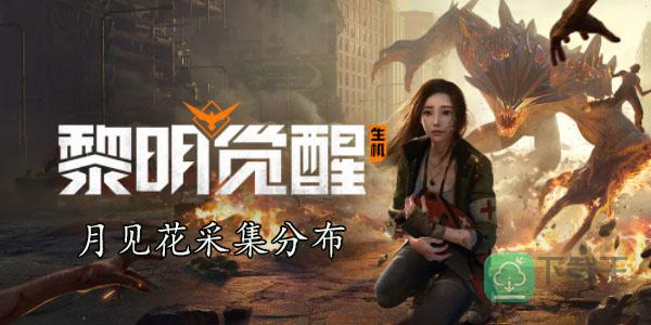 黎明觉醒月见花哪里采-月见花分布位置