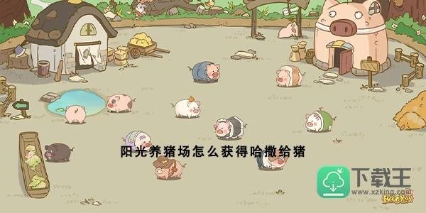 阳光养猪场怎么获得哈撒给猪