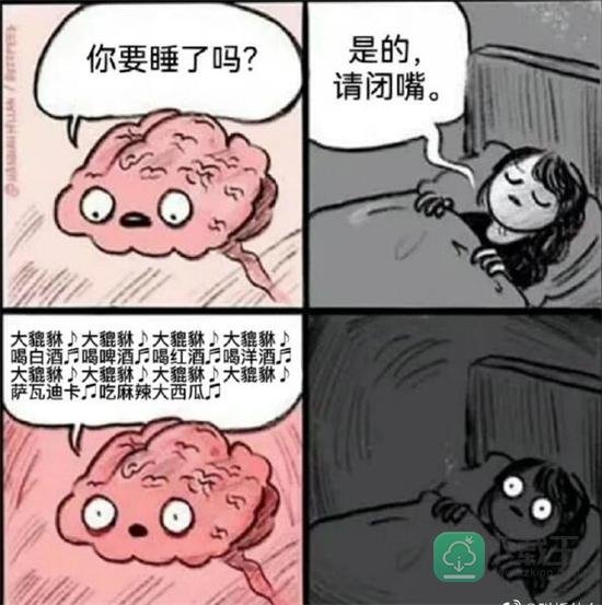 大貔貅是什么梗