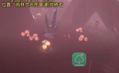 光遇2月14日每日任务攻略