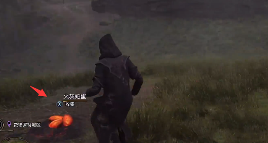 霍格沃茨之遗火灰蛇蛋在哪-火灰蛇蛋获取方式一览