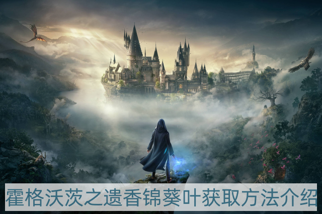 霍格沃茨之遗香锦葵怎样获得-香锦葵叶获取方法介绍