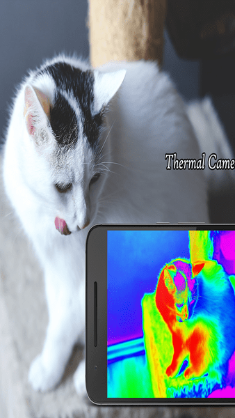 ThermalCamera