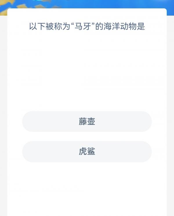 以下被称为马牙的海洋动物是-神奇海洋3.6今日科普问答答案