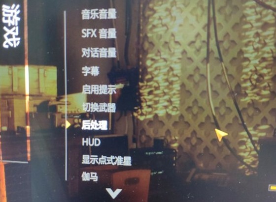 消逝的光芒sfx音量是什么 sfx音量含义介绍