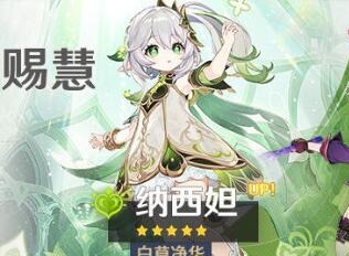 原神3.6妮露和纳西妲抽哪个更好 3.6妮露和纳西妲抽取建议