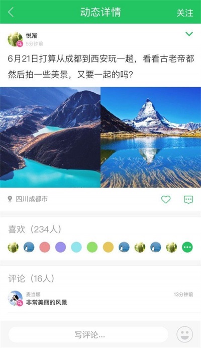 大树旅行