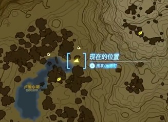 王国之泪潜行田螺在哪里 潜行田螺位置介绍