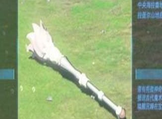 王国之泪魔法杖有什么用 魔法杖作用介绍