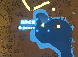 王国之泪铠甲鲷鱼在哪 铠甲鲷鱼位置介绍