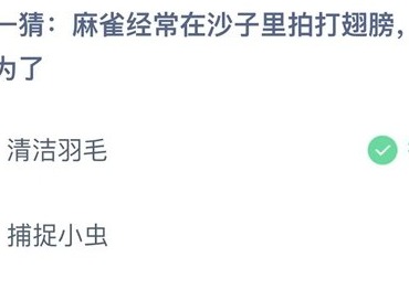 支付宝蚂蚁庄园7.4答案 2023蚂蚁庄园7月4日答案一览