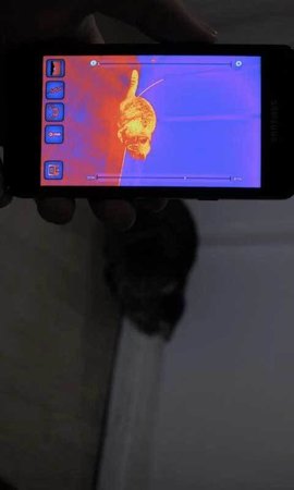 红外热成像相机