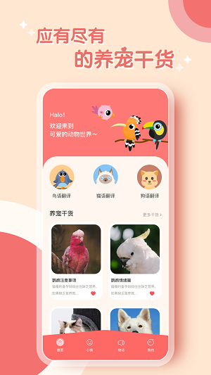 鹦鹉翻译器APP