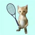 猫猫网球
