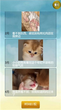 猫的一生重启模拟器