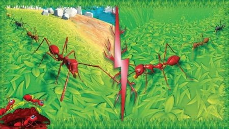 火蚁昆虫模拟