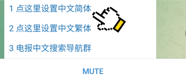 纸飞机中文版怎么注册 中文版注册登录流程技巧分享