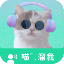 猫语翻译交流器