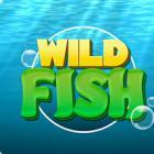 WildFish