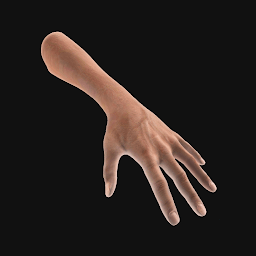 手势模拟软件