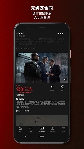 Netflix截图