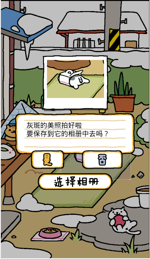 猫咪后院游戏